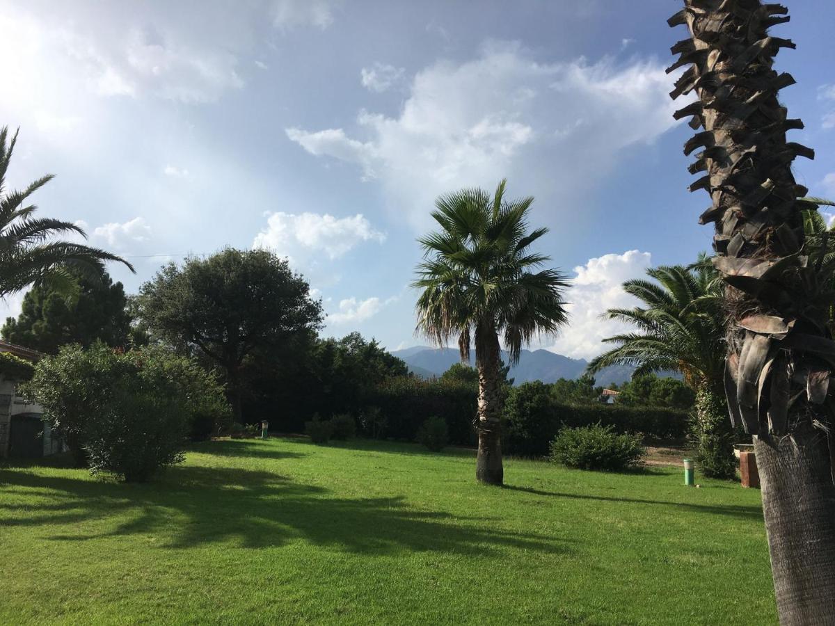 Mini Villa - Corse Du Sud Леччи Экстерьер фото